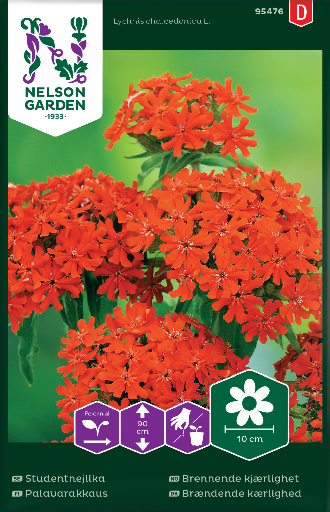 Brennende kjærlighet